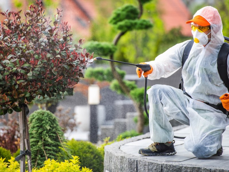 Özvatan Haşere İlaçlama